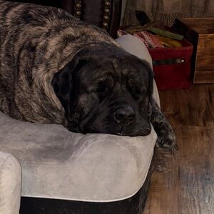 Don’t sleep on these deals. Closet clean out!